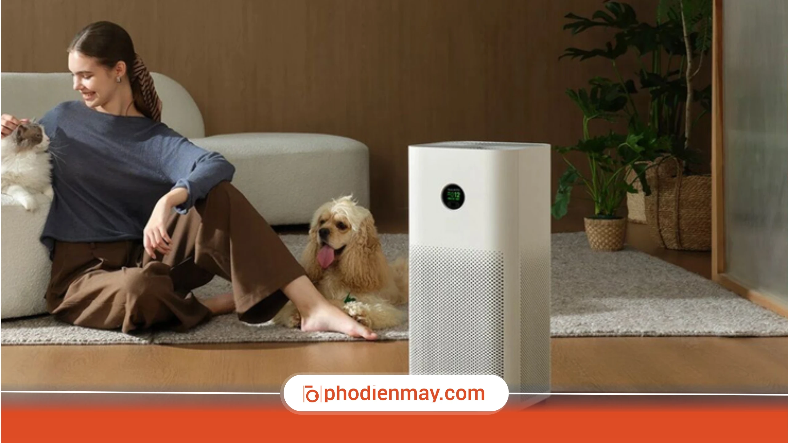 Có nên bật máy lọc không khí cả ngày?
