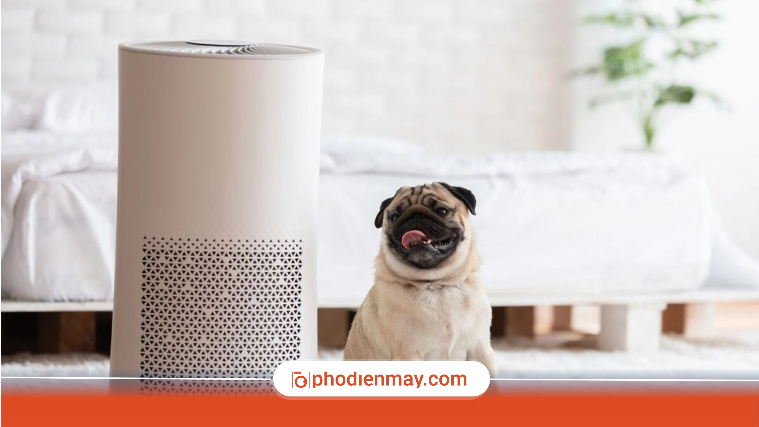 Máy lọc không khí hoạt động thế nào?