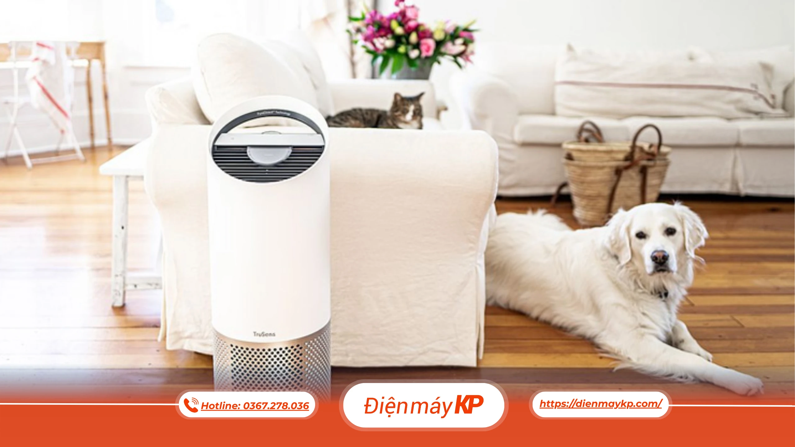 Máy Lọc Không Khí Có Loại Bỏ Được Lông Thú Cưng Không?