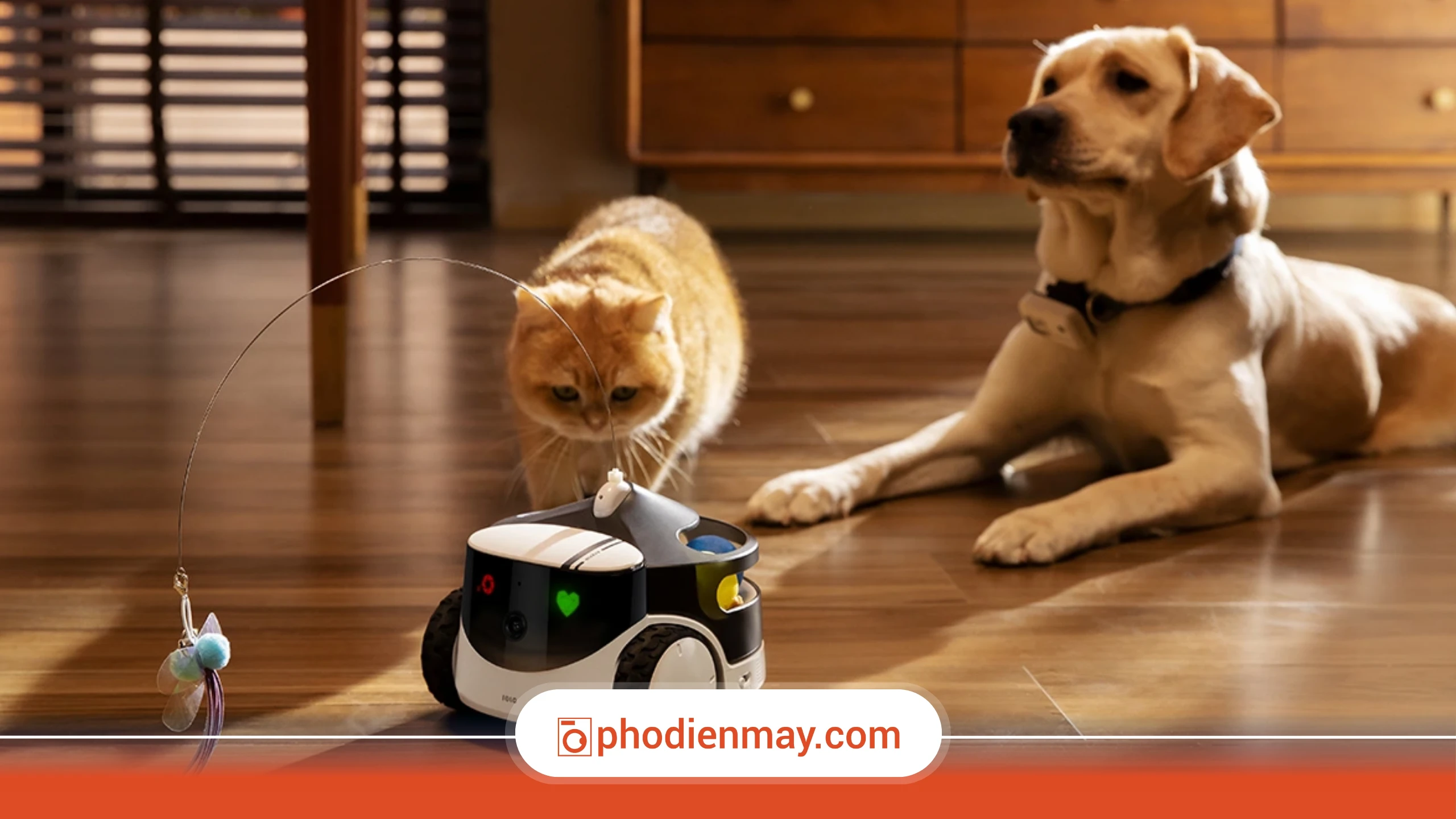 tác dụng robot hút bụi, robot hút bụi không chỉ quét nhà, công dụng khác của robot hút bụi, Phố Điện Máy
