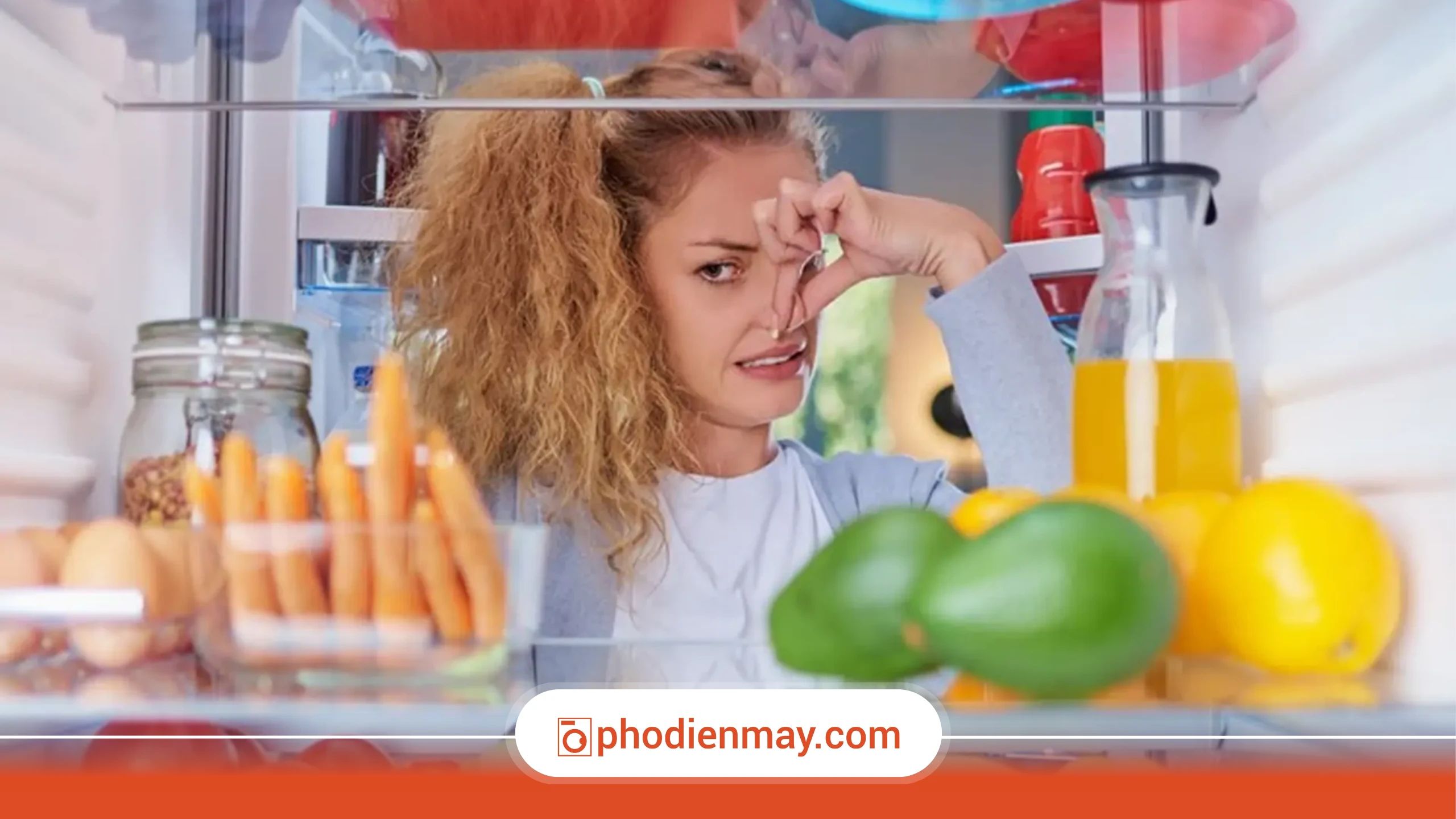 Những dấu hiệu cho thấy tủ lạnh đang quá tải