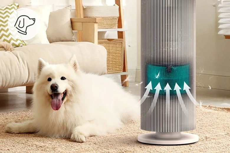 Máy lọc không khí LG AS55GGSY0.ABAE - Khử mùi loại bỏ mùi hôi, mùi thuốc lá, khí độc hại