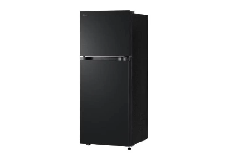 Tủ lạnh LG Inverter 217 lít LTB21BLMI