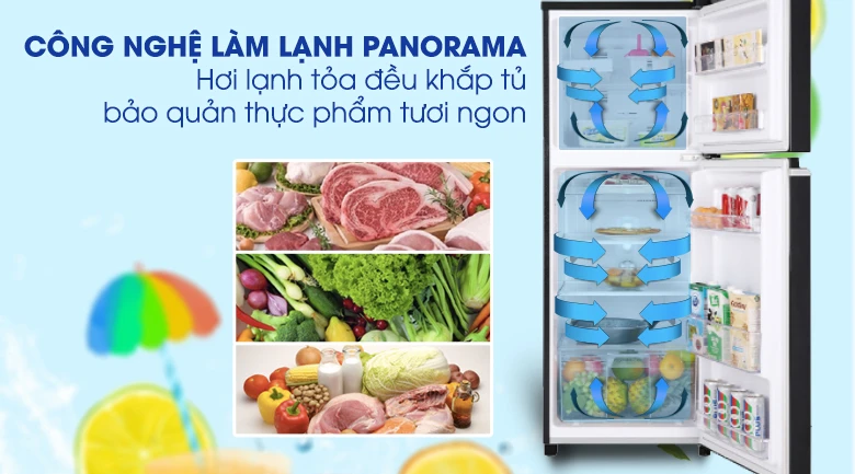 Tủ lạnh Panasonic Inverter 188 lít NR-BA229PAVN panorama